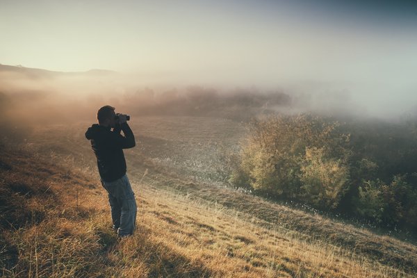 How Can Mindful Walking in Nature Parks Enhance Emotional Well-being?